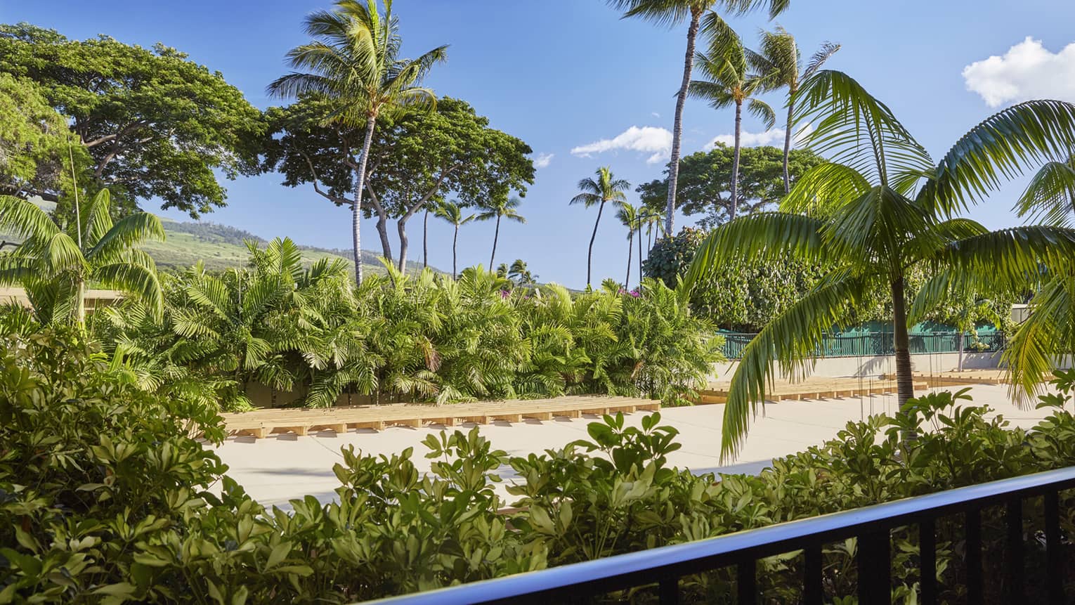 Balcony view of sandy recreation area surrounded by palm trees and lush greenery under a clear blue sky