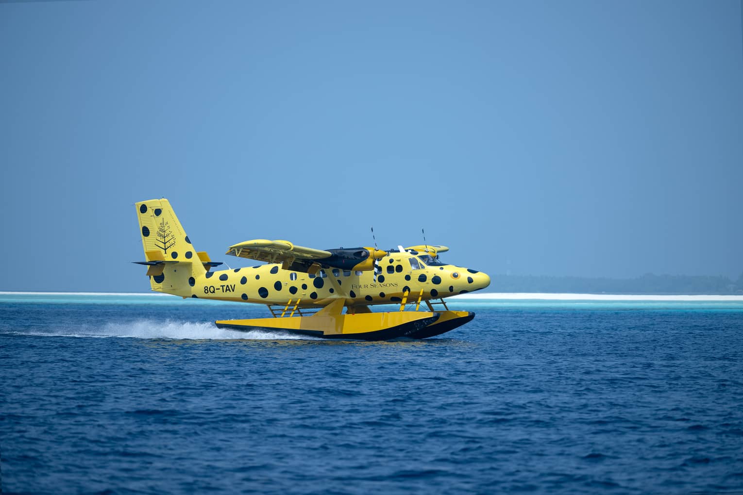 Yellow and black-spotted single-engine plane lands on the water in the Maldives