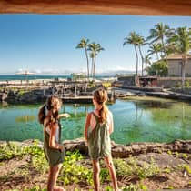 Two young girls point to water in front of dining patio, palm trees