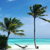 Person relaxes in hammock between two tall palm trees on white sand beach