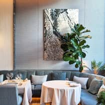 ,A contemporary bar illuminated by lamplight