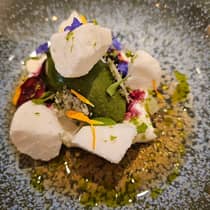 ,A colorful entree garnished with flower petals and oil and served on a blue speckled plate
