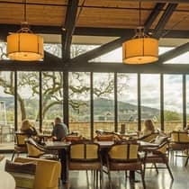 A cosy restaurant interior with large windows offering a scenic view of trees and distant hills. Guests are seated, enjoying the warm ambiance and natural light.