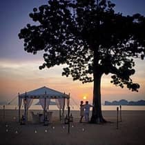A tent, dining table and lanterns are set up oceanside under a large tree while a couple stands nearby watching the sunset