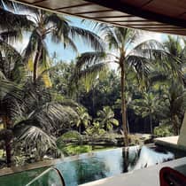 Private pool overlooking palm trees by river