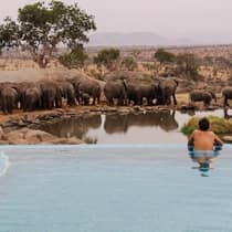 Man watches herd of elephants at pond from edge of infinity pool