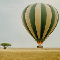 Guests in green-and-yellow striped hot air balloon rising from field