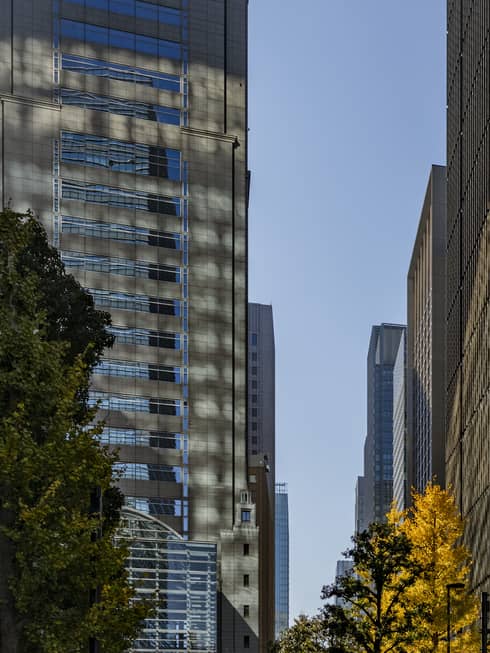 Downtown Tokyo skyscrapers in autumn
