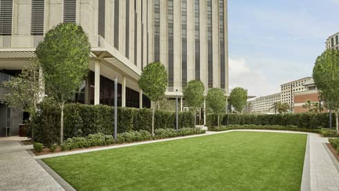 An outdoor area with a lawn of green grass and trees.