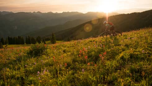 Sun sets over mountain meadow