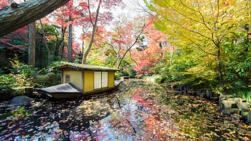 A house boat floats along a leaf-covered lake