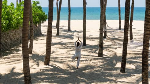 A person holding a standing yoga pose on a beach underneath a group of palm trees