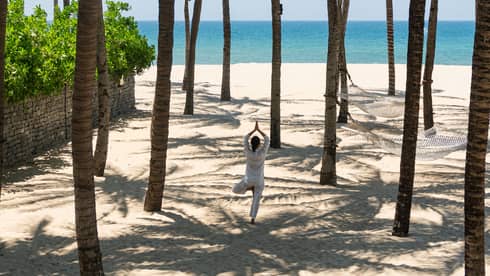 A person holding a standing yoga pose on a beach underneath a group of palm trees