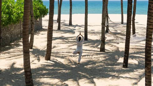 A person holding a standing yoga pose on a beach underneath a group of palm trees