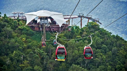 Guests ascend over trees and wildlife in specialty cable car lifts