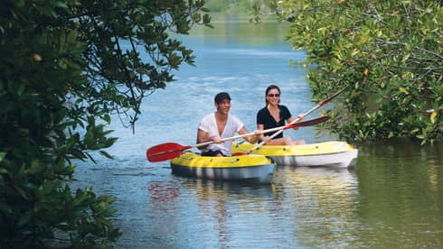 Two people with paddles in yellow kayaks pass through trees on water