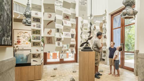 A tour guide teaches two boys about the island's creatures at the Mangroves Discovery Centre