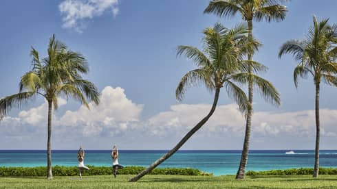 Two people face ocean, stand in yoga poses under tall palm trees