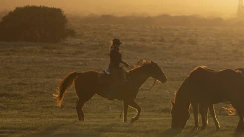 Woman rides a horse near other horses in the glow of sunset
