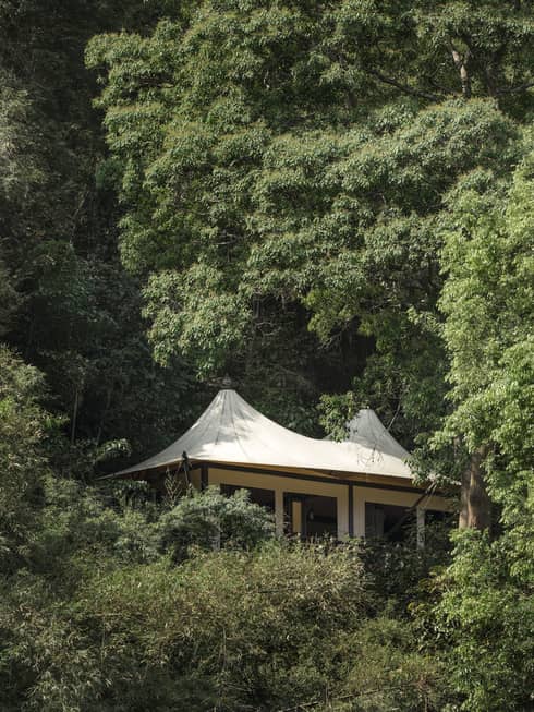 Luxury tent in Golden Triangle