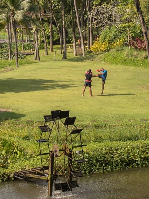 Long view of two boxers in a field, one kicking as the other blocks, dwarfed by soaring palms with a river in the foreground.