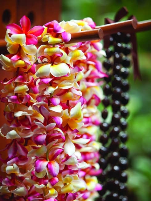 Close-up of fresh white, yellow and pink tropical flowers, strands of black beads