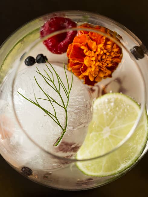 Aerial view of Capa Gin Tonic cocktails in glasses with ice, edible flowers, raspberries, lime