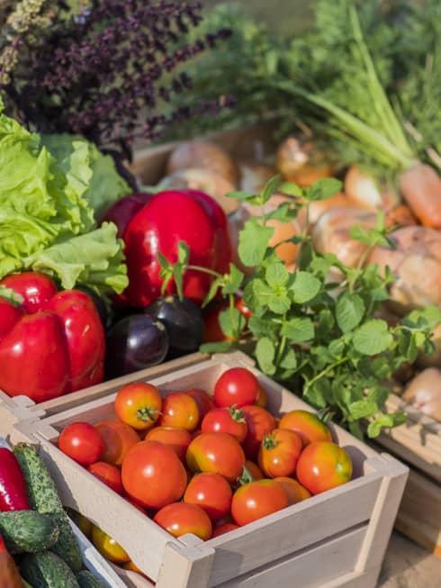An assortment of tomatoes, potatoes and peppers.