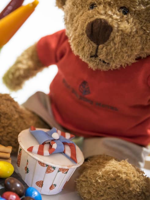 Children's gift package with teddy bear, candy and snacks