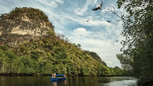 A majestic mountain rainforest looms behind tourists in a small, canopied riverboat as they watch eagles soaring high above.