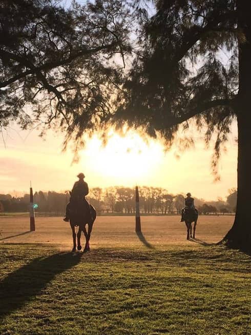Two polo players ride their horses through a groove of trees as the sun sets behind them.