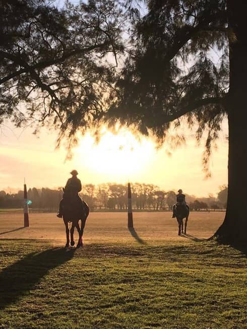 Two polo players ride their horses through a groove of trees as the sun sets behind them.