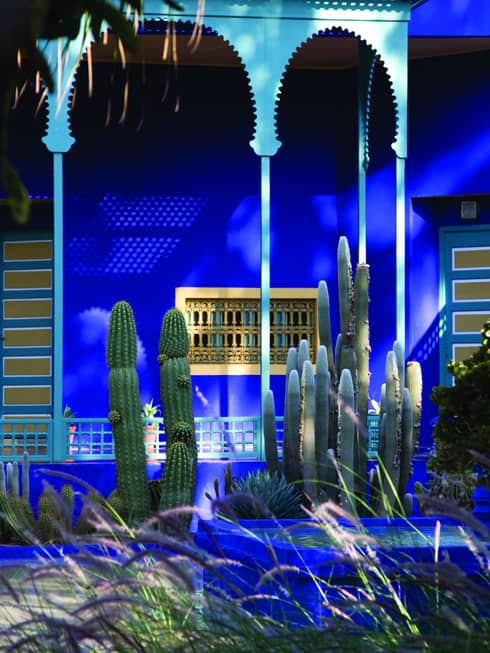 Cactus plants in front of bright blue walls of Yves Saint Laurent Marrakech museum, yellow planter