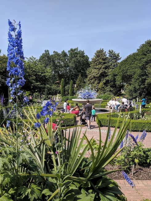 A park with many purple and white flowers and large green trees.