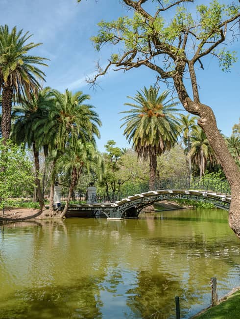 Footbridge over pond, blue skies and palm trees