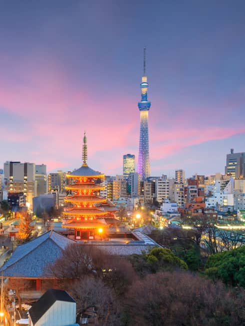 Illuminated city buildings, temples at night