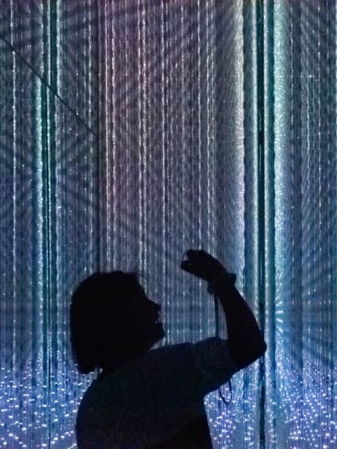 Silhouettes of people enjoying the digital art exhibit at Teamlab Planet
