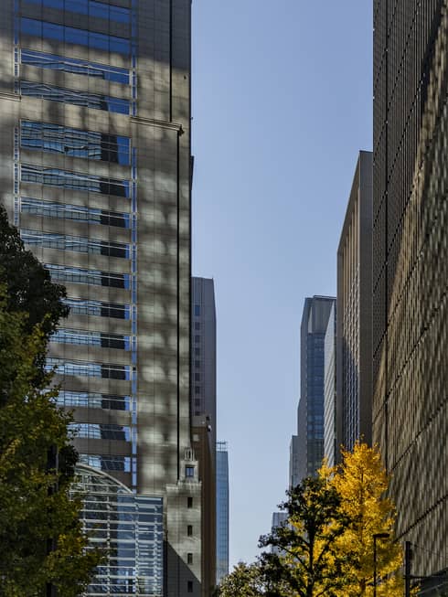 Downtown Tokyo skyscrapers in autumn