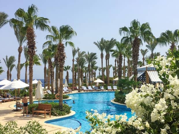 Palm trees along patio, winding outdoor swimming pool