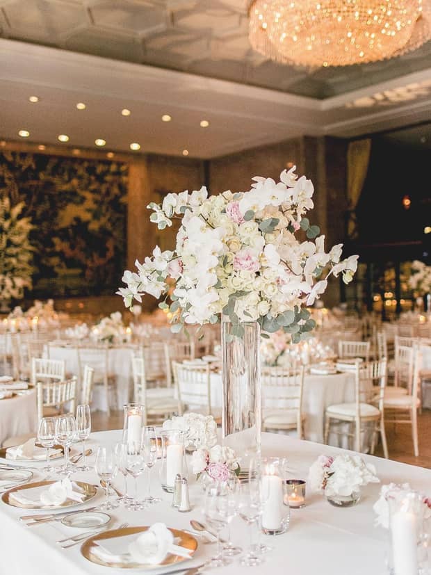 @catarinazimbarraphotography