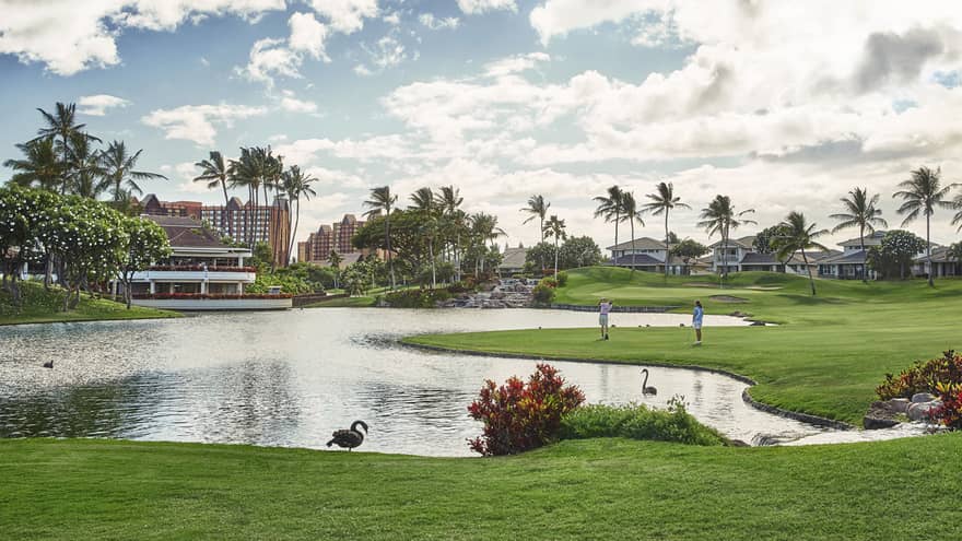 Golf course featuring a irregular shaped pond, tropical bushes, palm trees in the distance