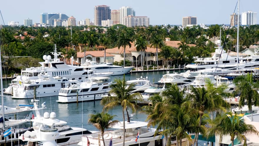 Many boats in the water with palm trees on the land and city buildings in the background.