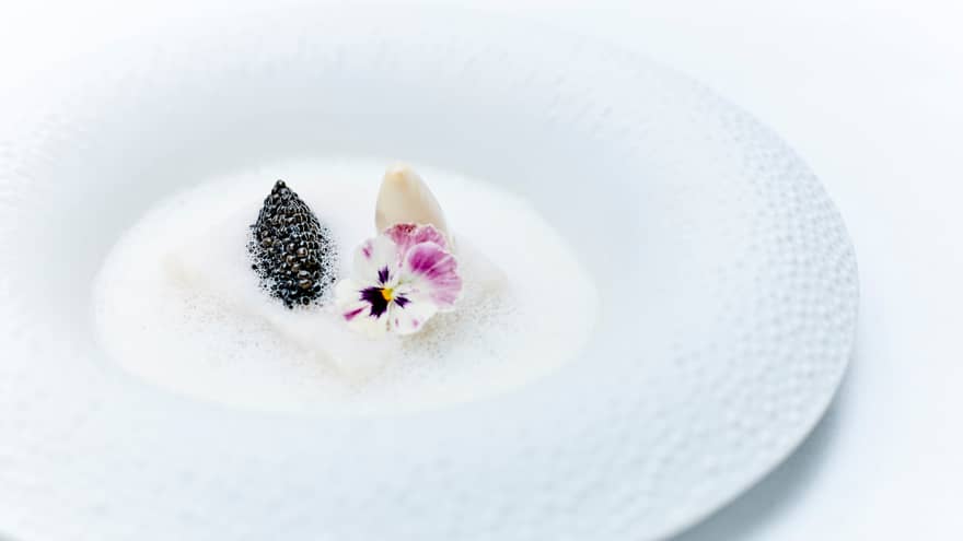 Caviar, purple flowers in white foam in dish