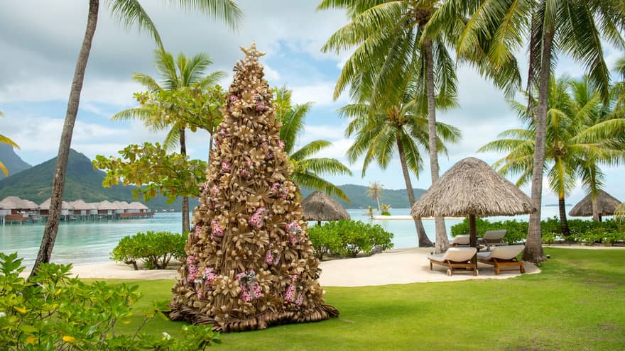 Decorative Christmas tree on resort lawn surrounded by palm trees
