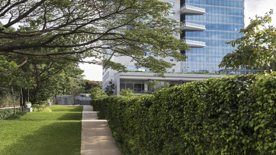 Tall glass building behind lawn with large tree, shrubs
