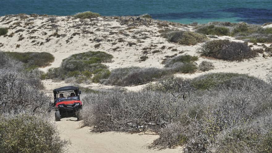 An off-road vehicle navigates a sandy trail surrounded by brush and dunes, with the ocean in the background, capturing the thrill of an off-road adventure.