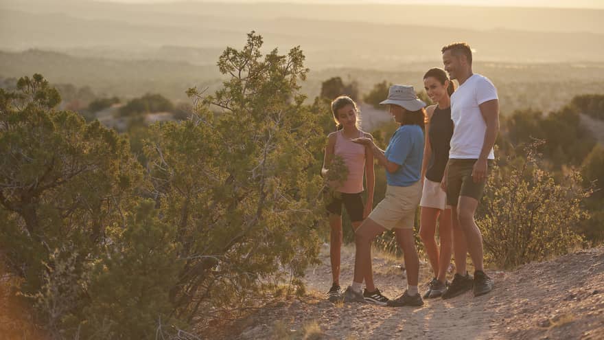 A family of four  hiking outside on sand with plants surrounding them in the sun.