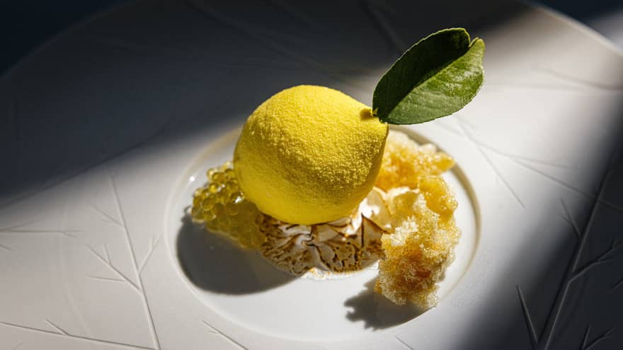 Lemon dessert dish