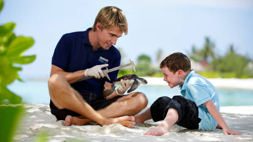 Marine Discovery Centre hotel staff measures turtle, shows young boy sitting in sand