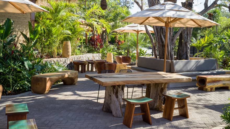 Several picnic tables with brown umbrellas, surrounded by palm trees.